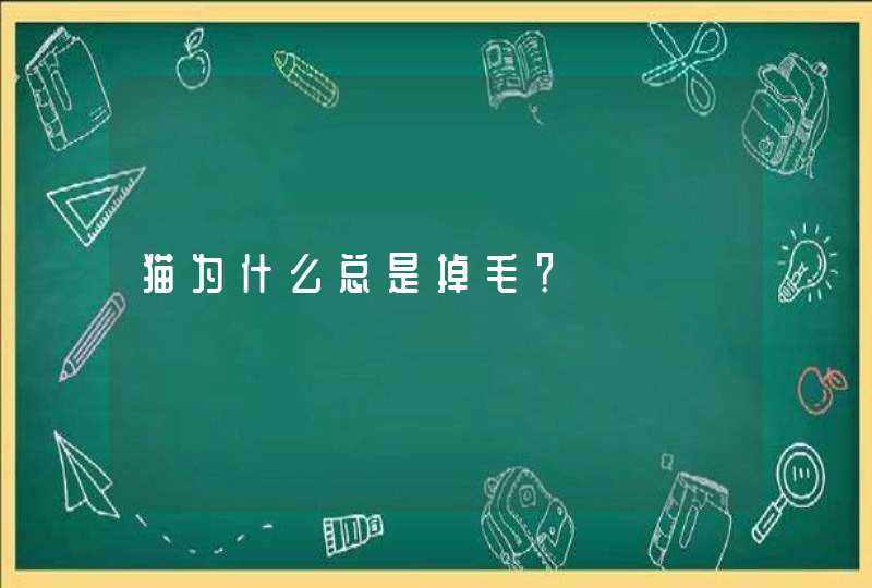 猫为什么总是掉毛？,第1张