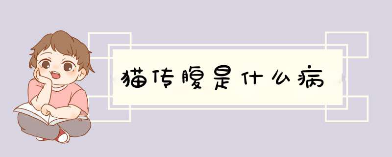 猫传腹是什么病,第1张