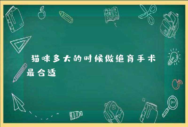 猫咪多大的时候做绝育手术最合适？,第1张