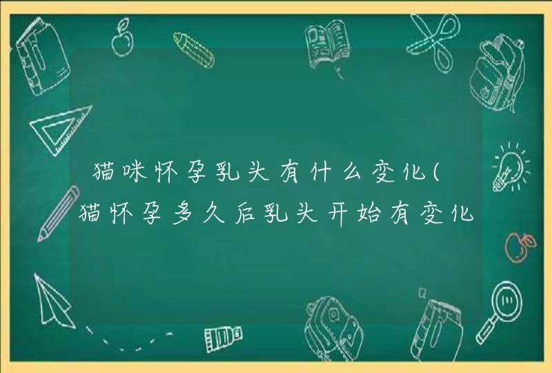 猫咪怀孕乳头有什么变化(猫怀孕多久后乳头开始有变化),第1张