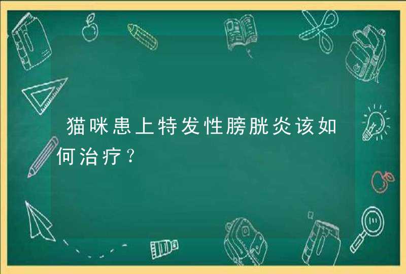 猫咪患上特发性膀胱炎该如何治疗？,第1张