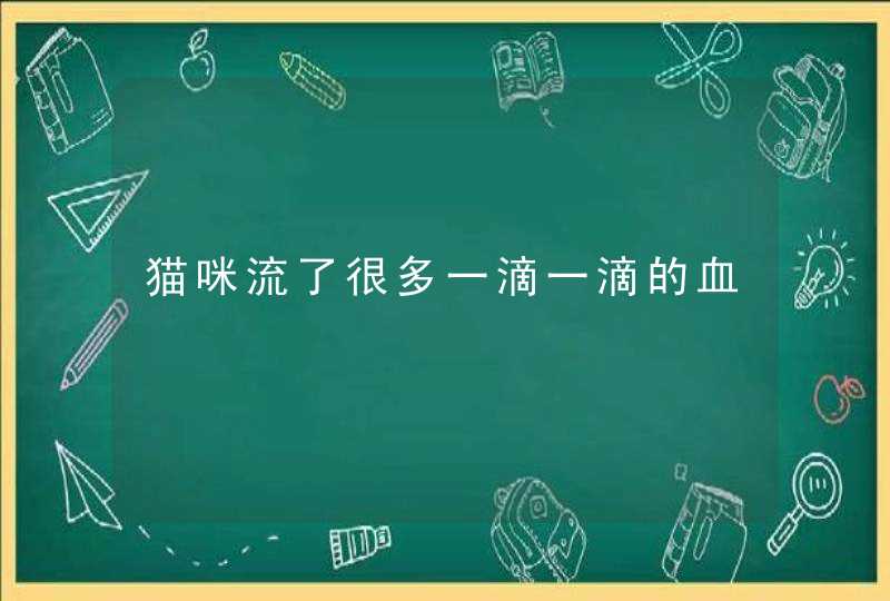 猫咪流了很多一滴一滴的血,第1张