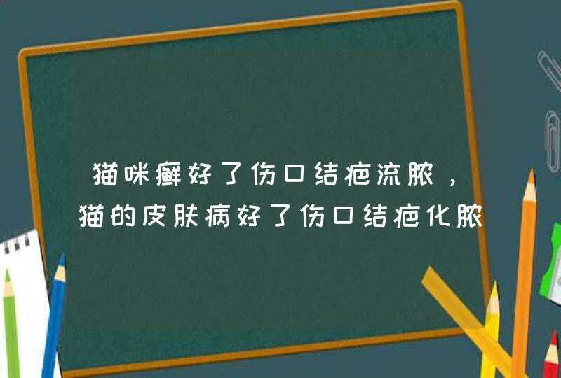 猫咪癣好了伤口结疤流脓，猫的皮肤病好了伤口结疤化脓，不懂为什么老是流脓该怎么办？,第1张