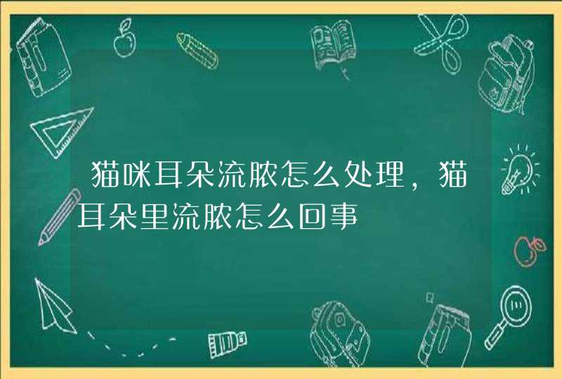 猫咪耳朵流脓怎么处理,猫耳朵里流脓怎么回事,第1张