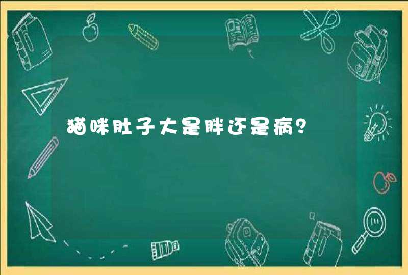 猫咪肚子大是胖还是病？,第1张