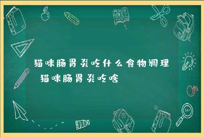 猫咪肠胃炎吃什么食物调理(猫咪肠胃炎吃啥),第1张