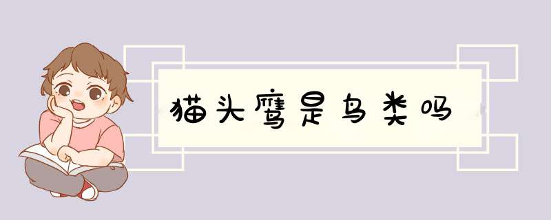 猫头鹰是鸟类吗,第1张