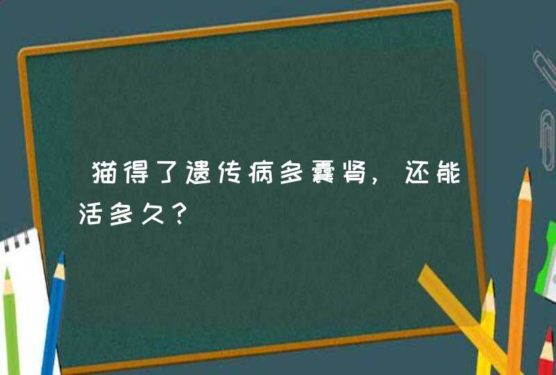 猫得了遗传病多囊肾,还能活多久？,第1张