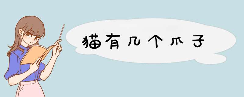 猫有几个爪子,第1张