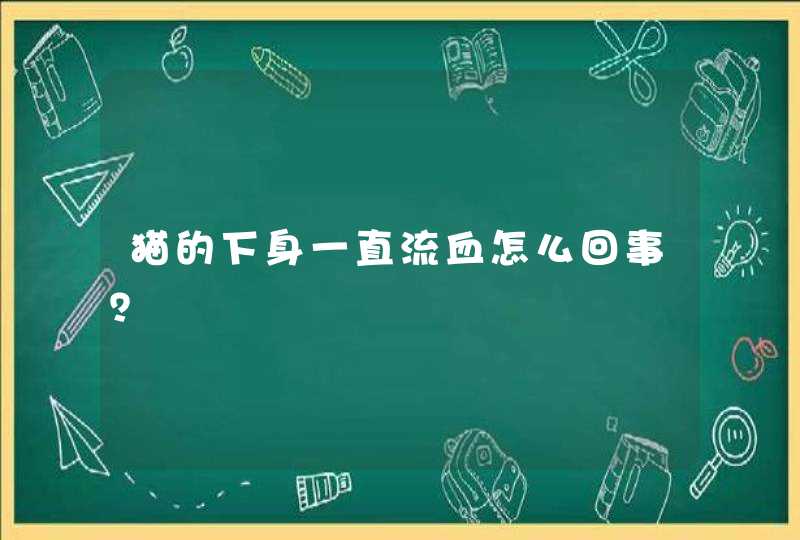 猫的下身一直流血怎么回事？,第1张