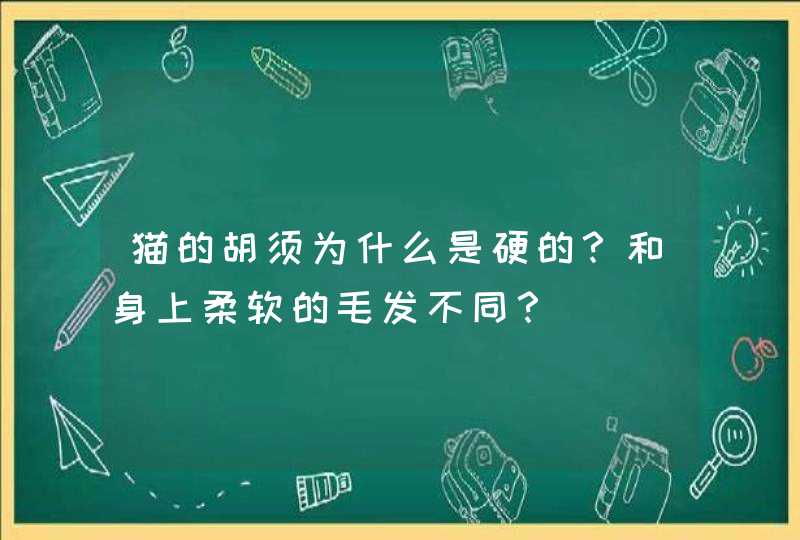 猫的胡须为什么是硬的？和身上柔软的毛发不同？,第1张