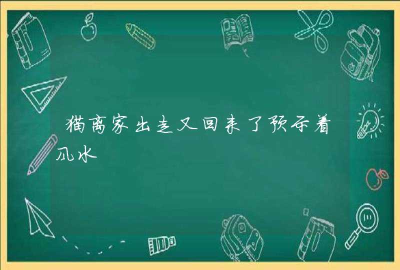 猫离家出走又回来了预示着风水,第1张