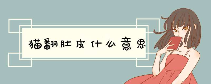 猫翻肚皮什么意思,第1张