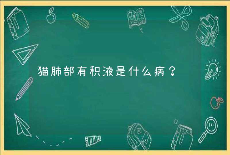 猫肺部有积液是什么病？,第1张