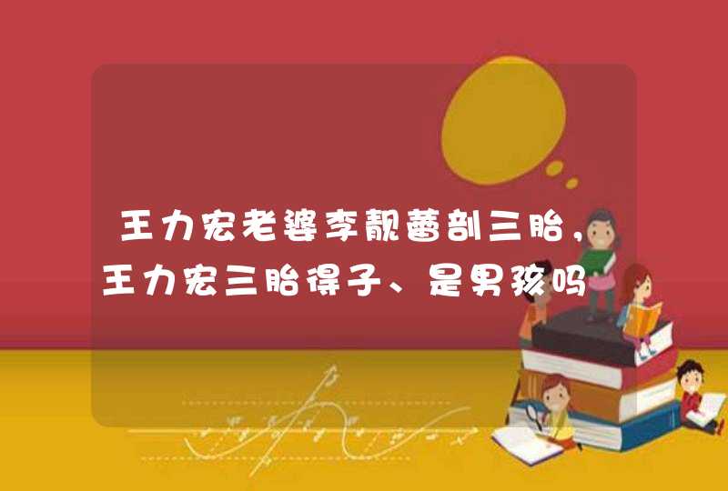 王力宏老婆李靓蕾剖三胎，王力宏三胎得子、是男孩吗,第1张