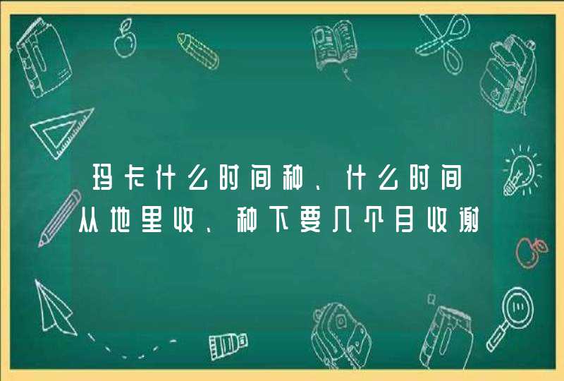 玛卡什么时间种、什么时间从地里收、种下要几个月收谢谢，,第1张