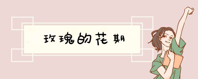 玫瑰的花期,第1张