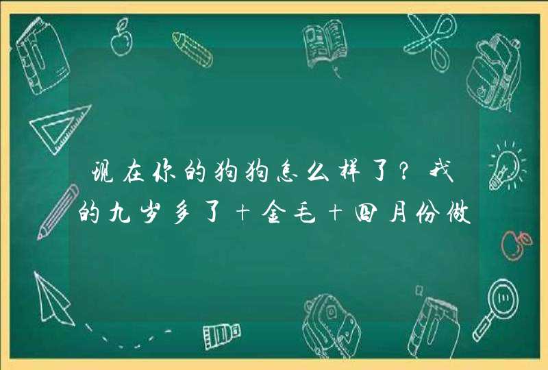 现在你的狗狗怎么样了？我的九岁多了 金毛 四月份做了肾脏肿瘤的手术 一个月前又切除了身体上的好多肿瘤,第1张