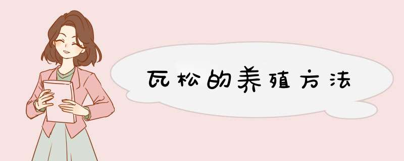 瓦松的养殖方法,第1张