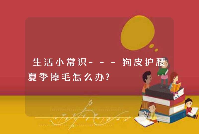 生活小常识---狗皮护腰夏季掉毛怎么办?,第1张