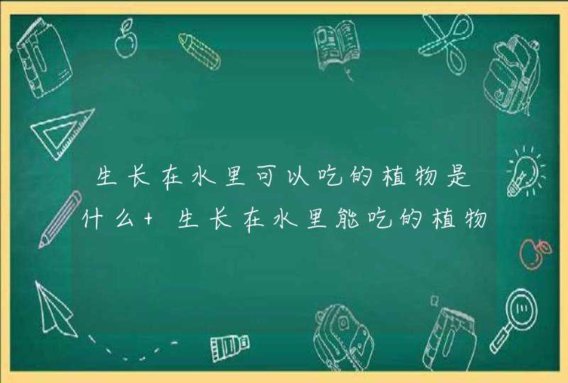 生长在水里可以吃的植物是什么 生长在水里能吃的植物是什么,第1张