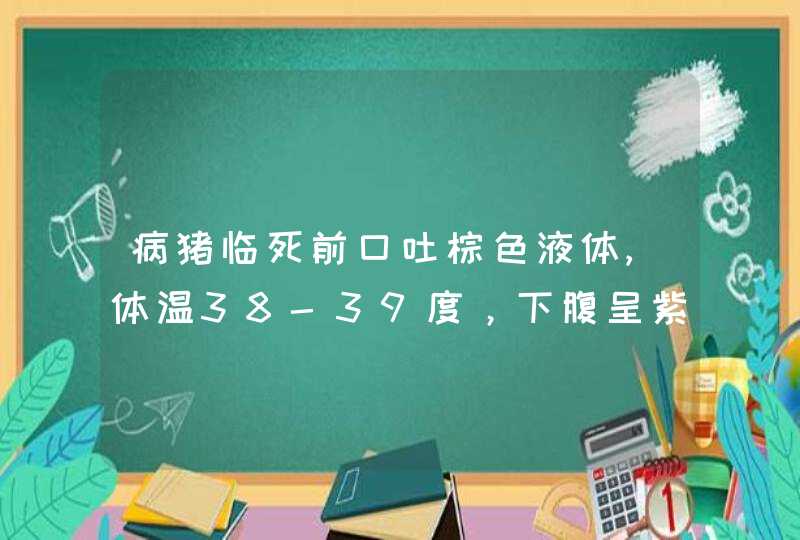 病猪临死前口吐棕色液体,体温38-39度，下腹呈紫红色，请问到底是什么病，用什么药合适？,第1张