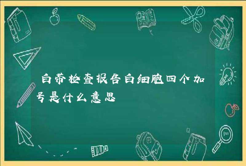 白带检查报告白细胞四个加号是什么意思,第1张