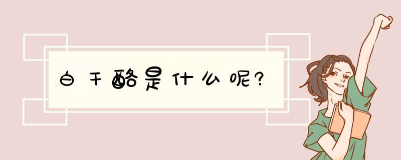白干酪是什么呢?,第1张