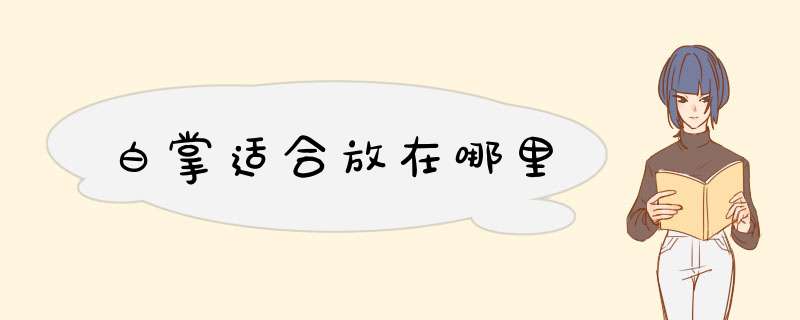 白掌适合放在哪里,第1张