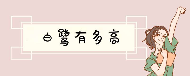 白鹭有多高,第1张