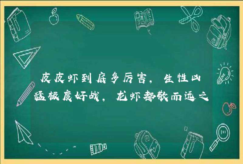 皮皮虾到底多厉害，生性凶猛极度好战，龙虾都敬而远之？,第1张