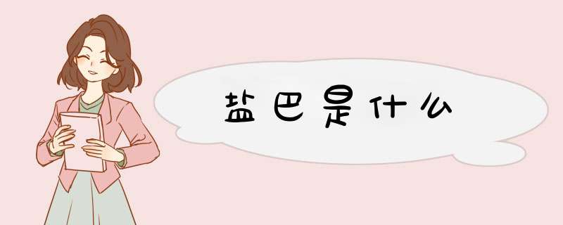 盐巴是什么,第1张