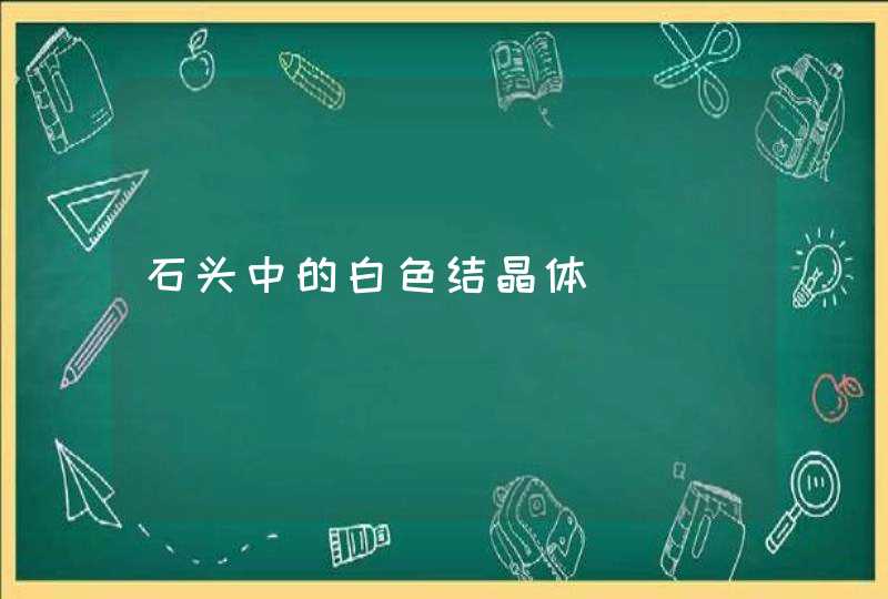 石头中的白色结晶体,第1张