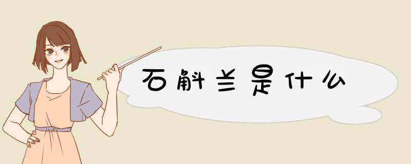 石斛兰是什么,第1张