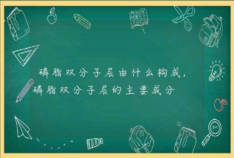 磷脂双分子层由什么构成,磷脂双分子层的主要成分,第1张