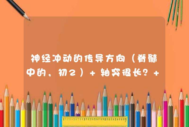 神经冲动的传导方向（脊髓中的，初2） 轴突很长？ 脊髓中灰质连白质？,第1张