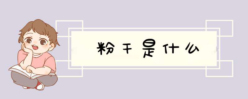 粉干是什么,第1张