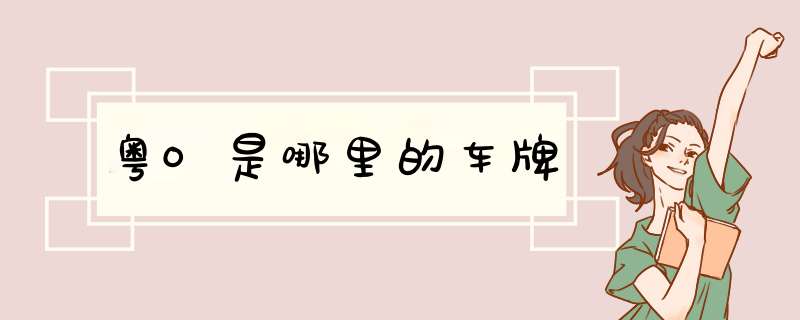 粤O是哪里的车牌,第1张