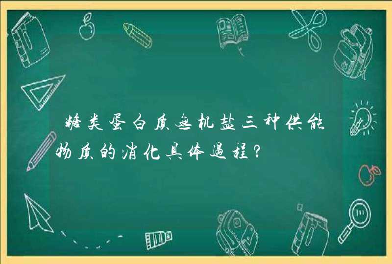 糖类蛋白质无机盐三种供能物质的消化具体过程？,第1张