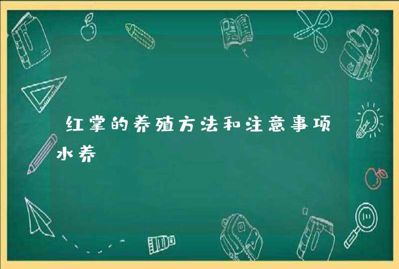 红掌的养殖方法和注意事项水养,第1张