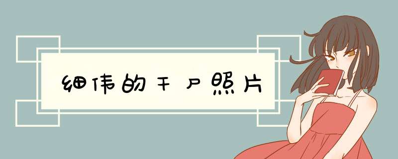 细伟的干尸照片,第1张