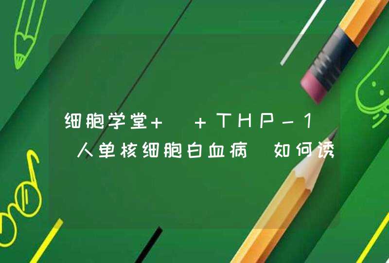 细胞学堂 | THP-1（人单核细胞白血病）如何诱导分化？,第1张