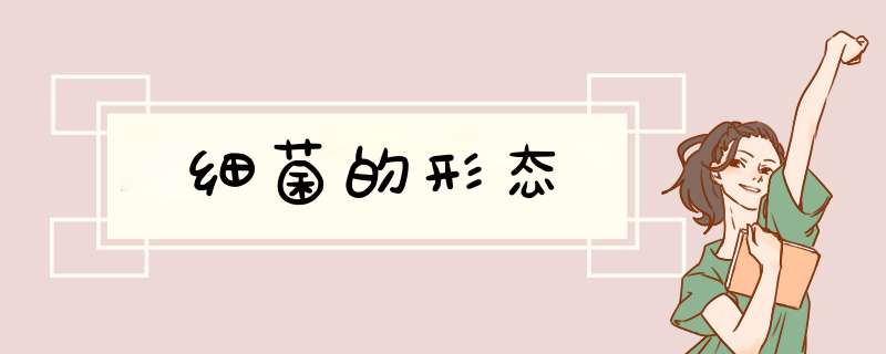 细菌的形态,第1张