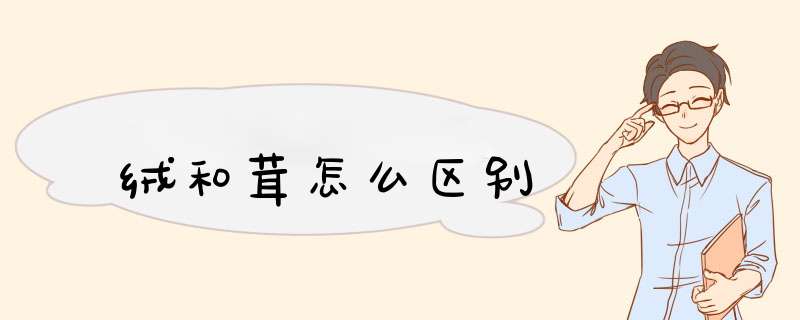 绒和茸怎么区别,第1张