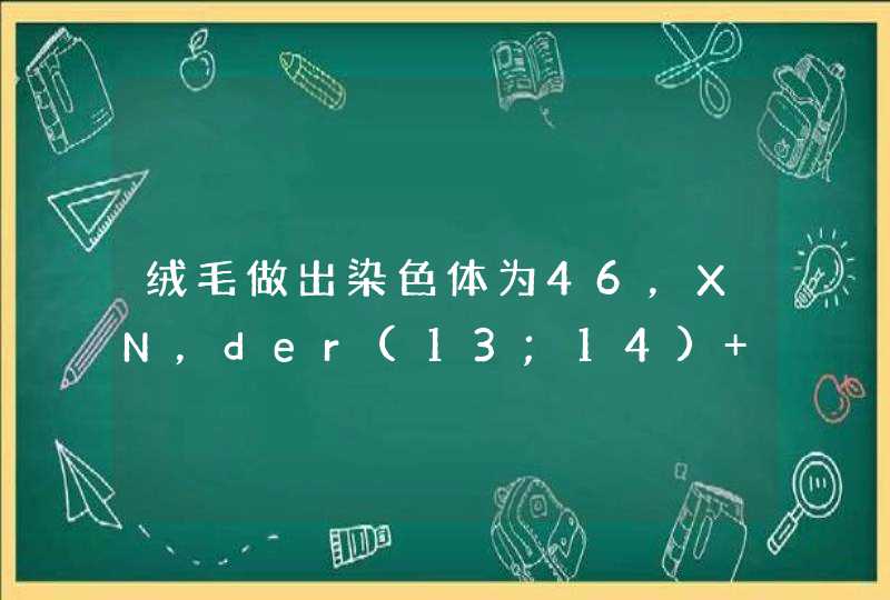 绒毛做出染色体为46，XN，der(13;14) (q10;q10),13是什么意思,第1张