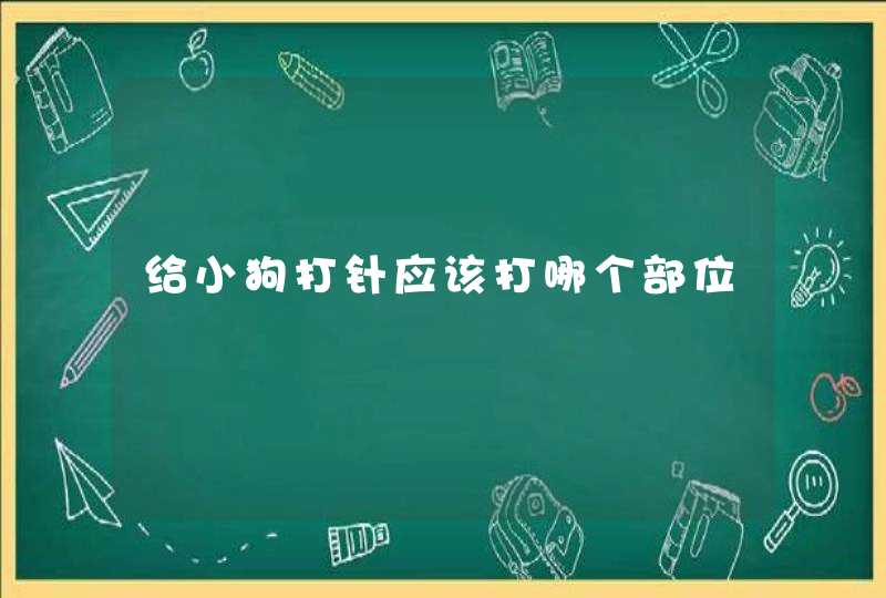 给小狗打针应该打哪个部位,第1张