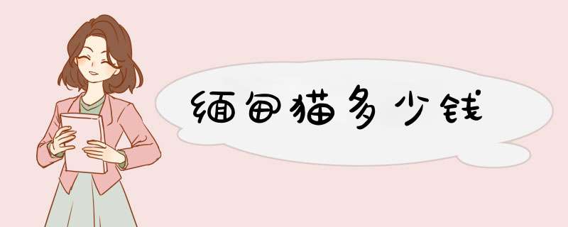 缅甸猫多少钱,第1张