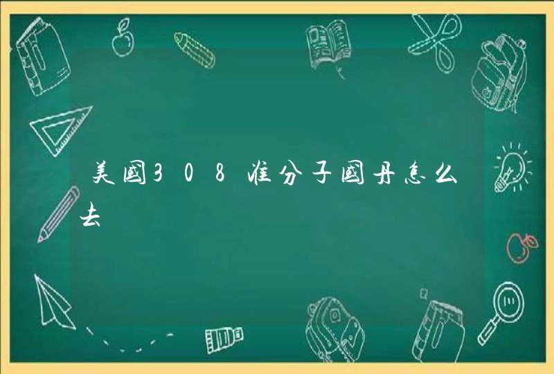 美国308准分子国丹怎么去,第1张