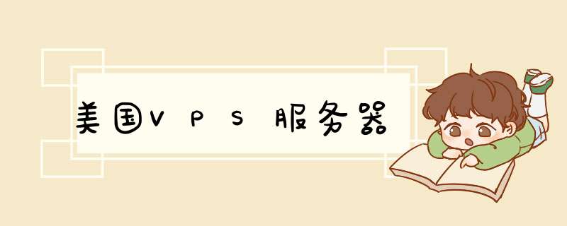 美国VPS服务器,第1张
