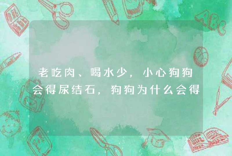 老吃肉、喝水少，小心狗狗会得尿结石，狗狗为什么会得尿结石？,第1张